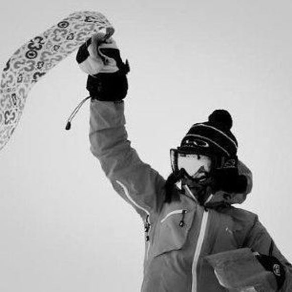 Meet your Posher, Penny - Picture 1 of 1